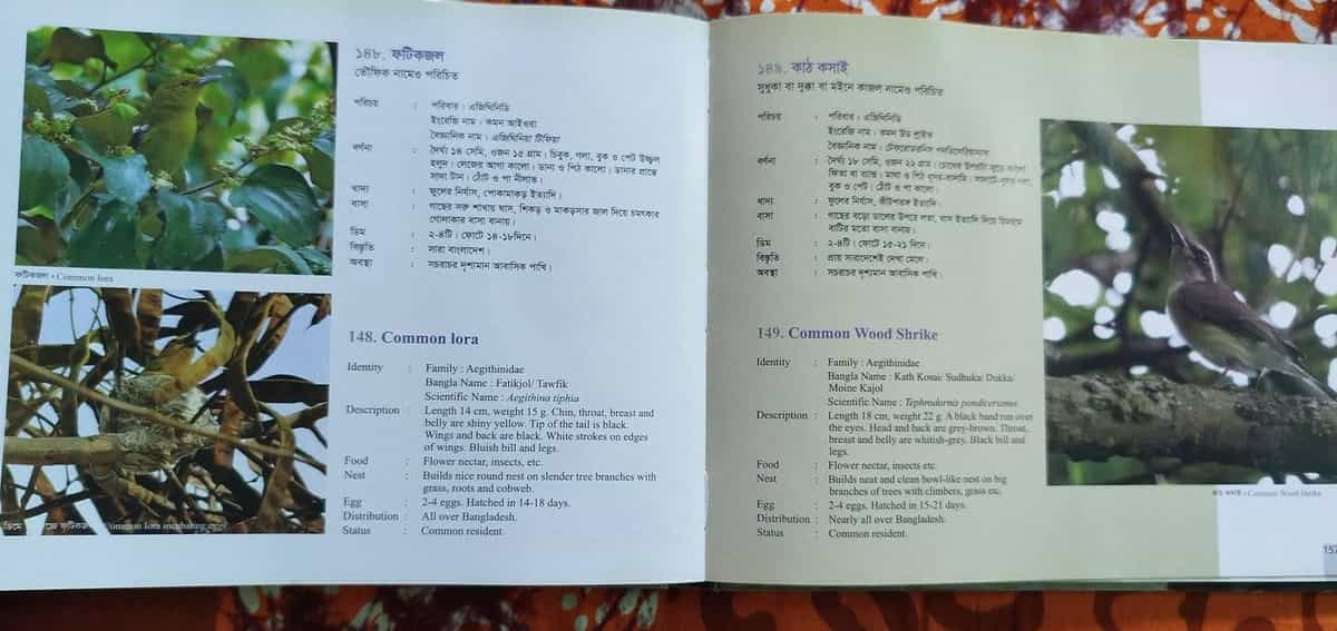 বাংলাদেশের পাখি 4