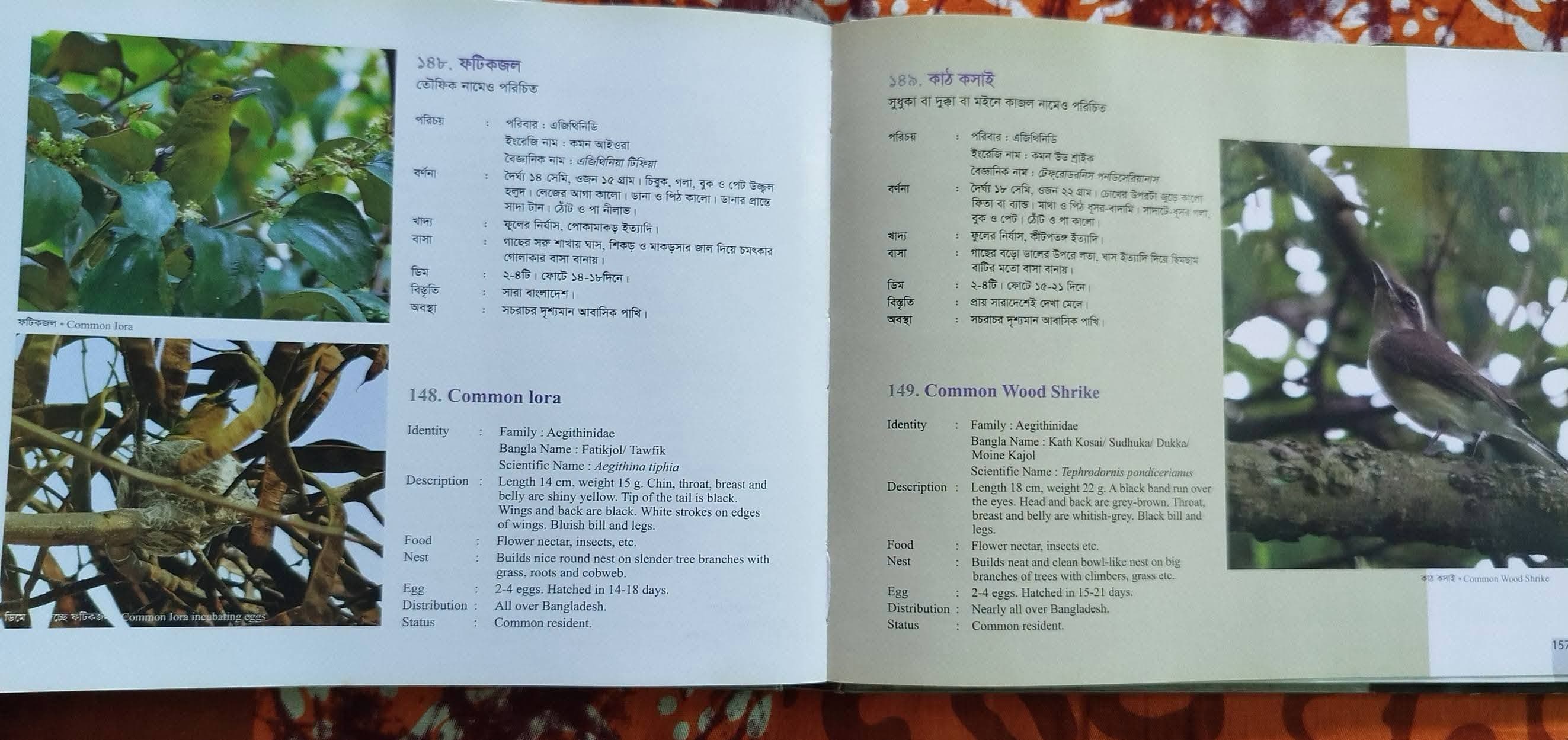 বাংলাদেশের পাখি 4